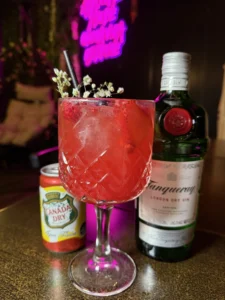 GIN RASPBERRY